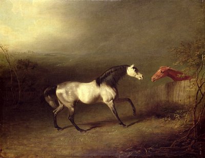The Grey Arab by Sawrey Gilpin